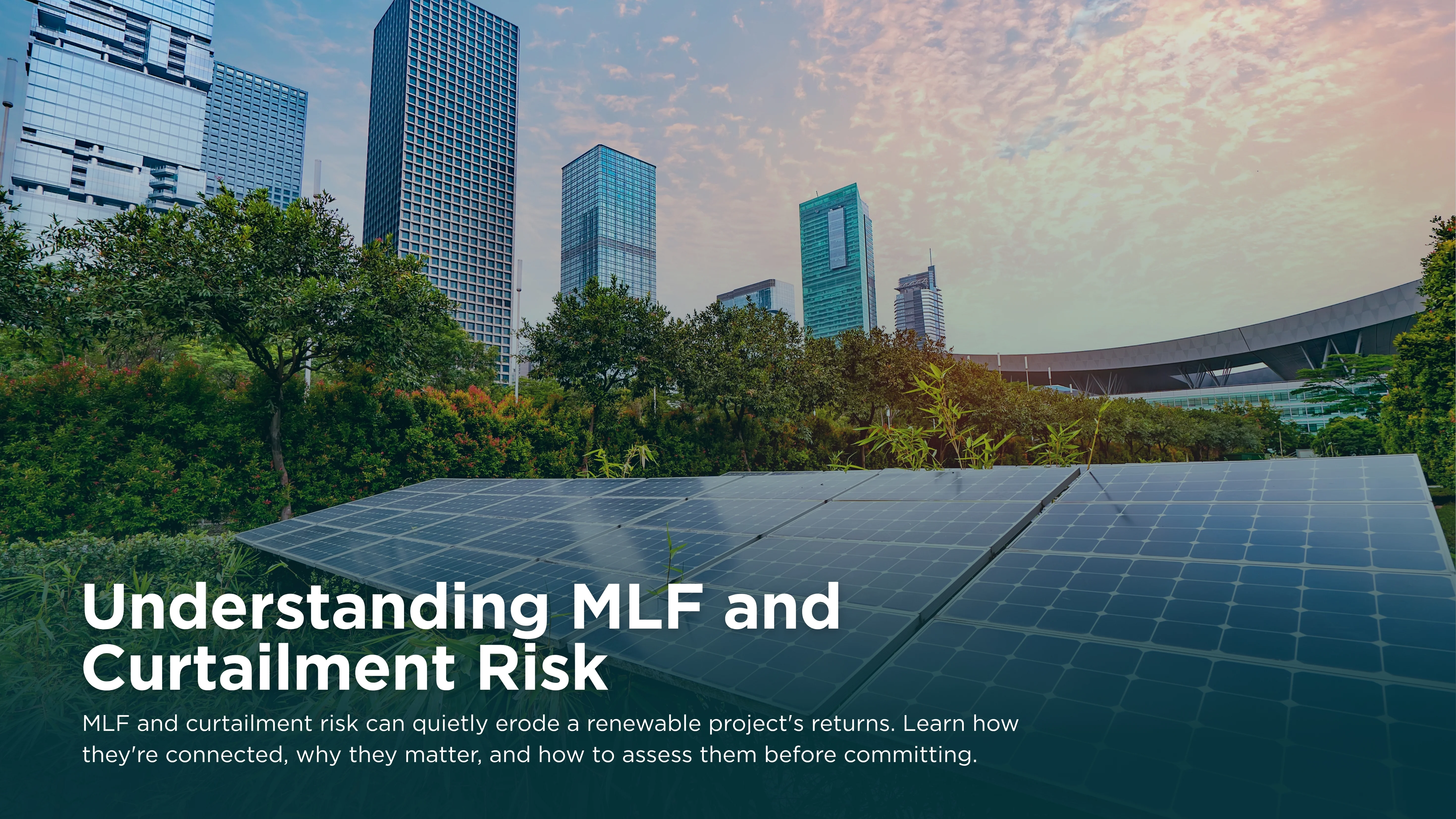 Understanding MLF and Curtailment Risk Before You Commit to a Project