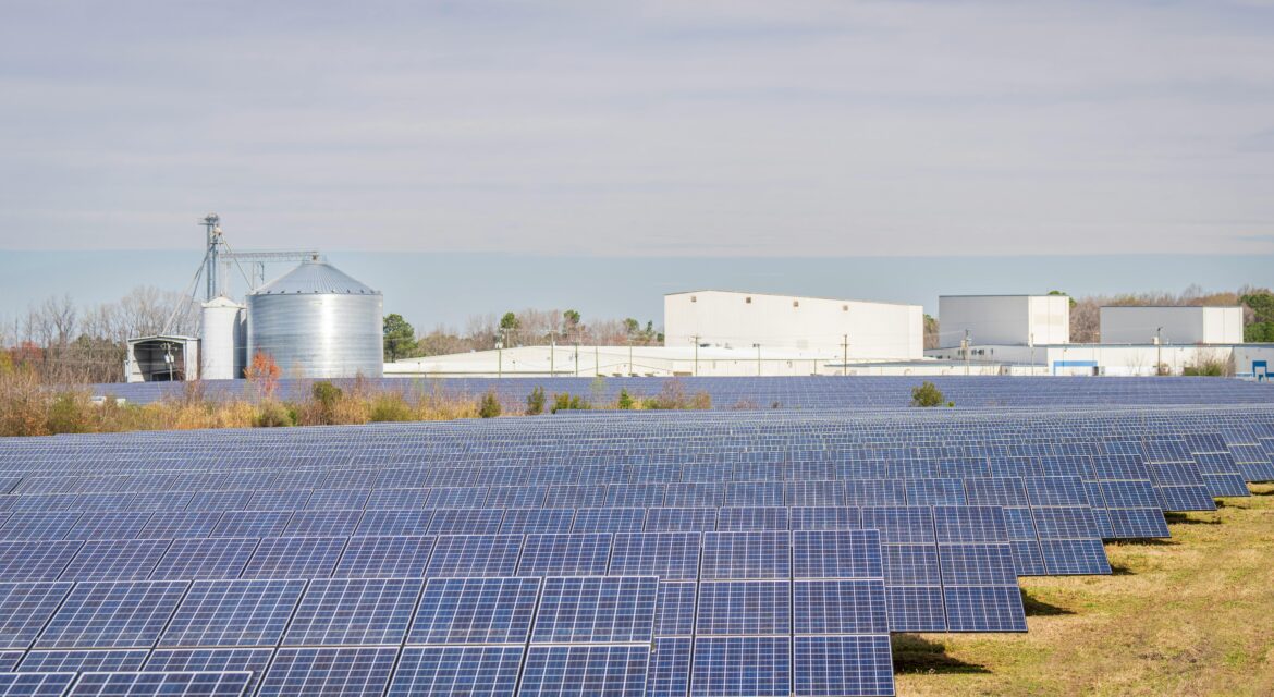 Rows of solar panels in a field