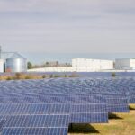 Rows of solar panels in a field