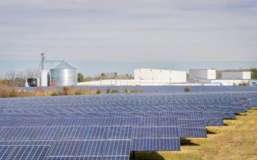 Rows of solar panels in a field